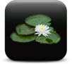 Aquatic climate