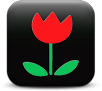 Red flower