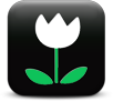 White flower